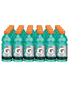 Wholesale Supplier Gatorade Frost Arctic Blitz Sports Drink 591ml x 24 - Best Before 01/12/2024